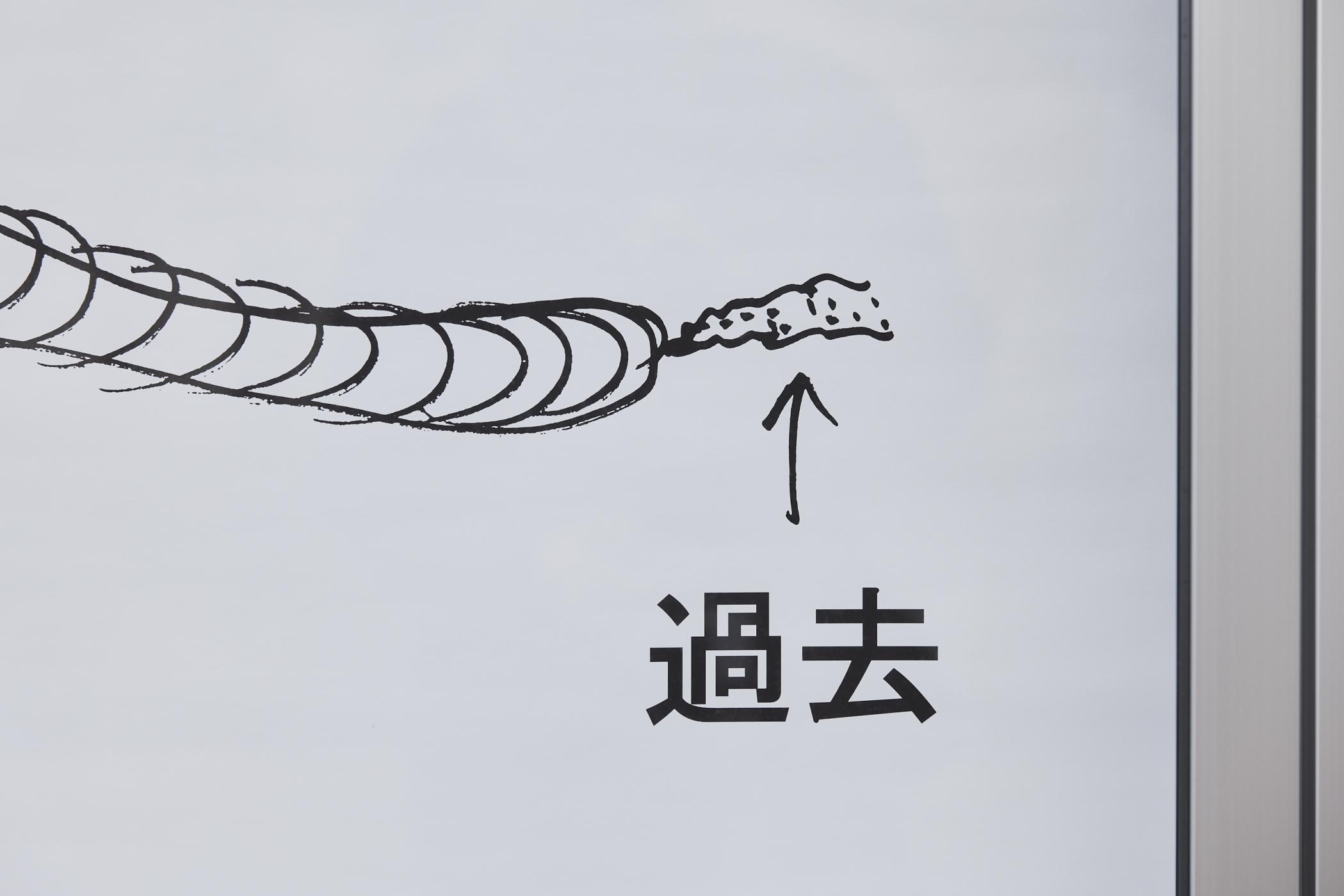 Denicolai & Provoost Earthworm since 2001 Japan